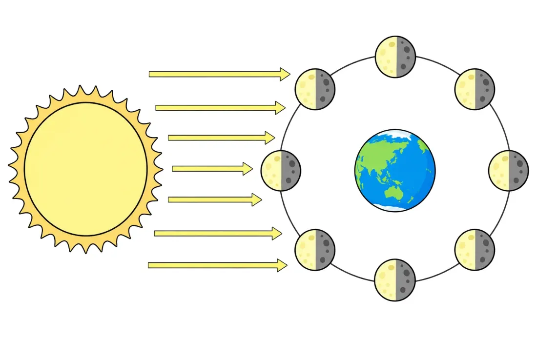 Phases of the moon